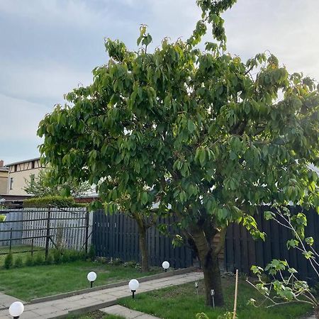 Schoenes Reihenhaus Mit Garten Magdeburg Eksteriør bilde