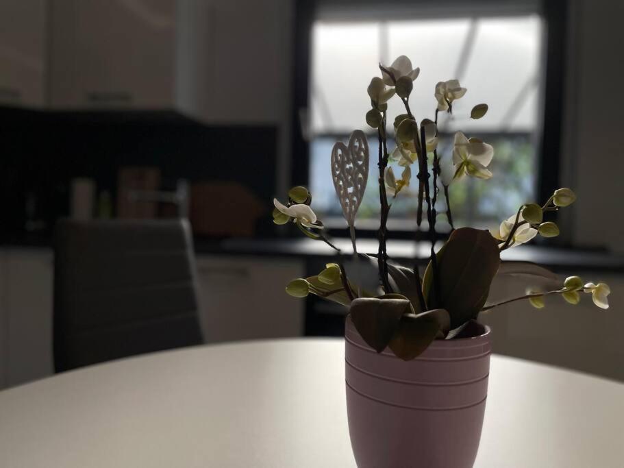 Schoenes Reihenhaus Mit Garten Magdeburg Eksteriør bilde
